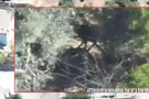 IDF spokesperson IDF destroys missile launcher hidden in bushes