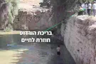 צילום: ענבל למברגר בני הנוער מחזירים חיים לבריכה