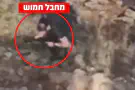 ЦАХАЛ атаковал террористическую ячейку на юге Ливана