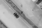 IDF spokesperson IDF eliminates two Hamas commanders in Gaza