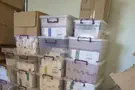 Four arrested in illegal steroid bust