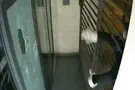 Security camera Watch: Vandal smashes Haaretz door