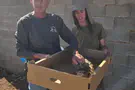 Courtesy Shepherd saves rare bird of prey in Gush Etzion