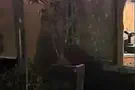 בקת"ב בנתניה, רימון בעפולה