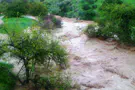 צילום: רשות הכנרת איך הפך נחל צלמון מנחל אכזב למלא במים?