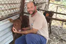 Courtesy of the photographer Second red heifer born in Golan Heights