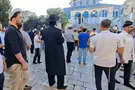 צילום: TPS Song and prayer on the Temple Mount
