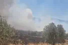 Fire and Rescue Service spokesperson Fire breaks out near Elon Moreh in Samaria