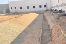 A look into Israel's planned crocodile moats