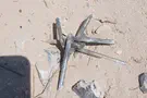 צילום: באדיבות המצלם רכב שטח ניזוק, דגל ענק נקרע וציוד הושחת