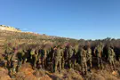 Security forces dismantle two illegal outposts in Area B