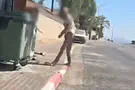 צילום: דוברות המשטרה תיעוד קשה | התעללות מזעזעת בצפון