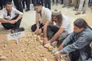 חמישה יתומים - ואף אחד מהם לא יישאר לבד