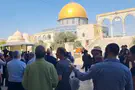 צילום: ללא קרדיט צפו: שירת "לכה דודי" בהר הבית