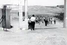 ארכיון כפר עציון התרגיל של אשכול שהביא לחידוש כפר עציון