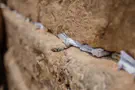 iStock Thousands of prayer notes removed from Western Wall