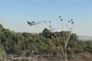 דוברות כבאות והצלה לישראל | מחוז צפון שריפה בתל דן: מטיילים פונו מהשמורה