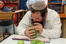 צילום: ללא רבני הציונות הדתית בוחרים את ארבעת המינים