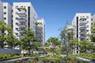 ביקוש שיא: הדירות הכי זולות בכרמי גת