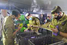 The hidden message of the Etrog