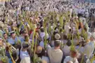 Watch: Hoshana Rabba prayers at the Western Wall