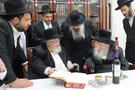 צילום: באדיבות המצלם ראש הישיבה הישיש נועד עם האדמו"ר מגור