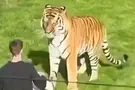 Man killed in tiger attack at UK wildlife park