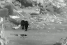 IDF Spokesperson Hospital by day, terror site by night