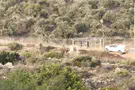 IDF allows olive harvest near site of Fogel massacre