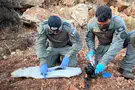 Police spokesperson Israel’s hesitation in Judea and Samaria undermines security