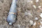 None 9-year-old spots suspicious object in Samaria, prevents disaster