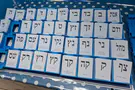 צילום: TPS המדריך המלא לבוחר בבחירות לכנסת