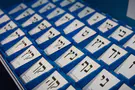 No evidence came from political parties