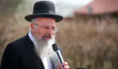 השופטים פוגעים בצה"ל - למען הפרוגרס