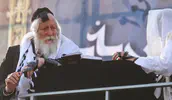 טעיתי והלכתי שולל אחרי ברלנד