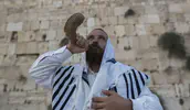 להתייצב, להתעורר ולבחור בחיים