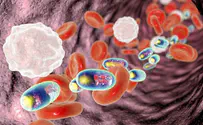 Nanoparticles in Pfizer vaccine may trigger allergic reactions