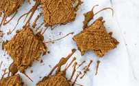 Lotus Blondies