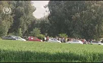 Police break up illegal 'nature party'