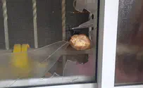זרק רימוני הלם ואבנים על פלסטינים