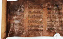 צילום: הספריה הלאומית נחשפה אחת ממגילות אסתר הקדומות והנדירות בעולם