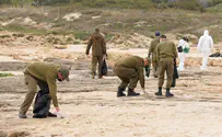 'I came to help the sea creatures survive'
