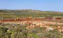התגובה הציונית להרס הכרמים בשומרון 