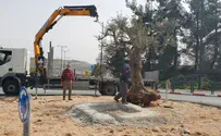 מהוד השרון לקרית ארבע 