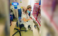 An Arab mother was injured. A Jewish nurse breastfed her baby