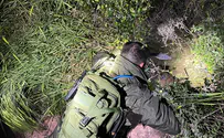 Happy ending thanks to Israel Dog Unit