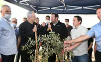 אחרי הבחירות נסדיר את כל ההתיישבות