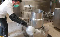 הדסה ערוכה לפסח למהדרין