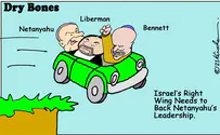 End Netanyahu-hatred–start advancing Israel’s national interest