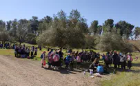 חוזרים לשגרה: מסע פסח בתנועת אריאל